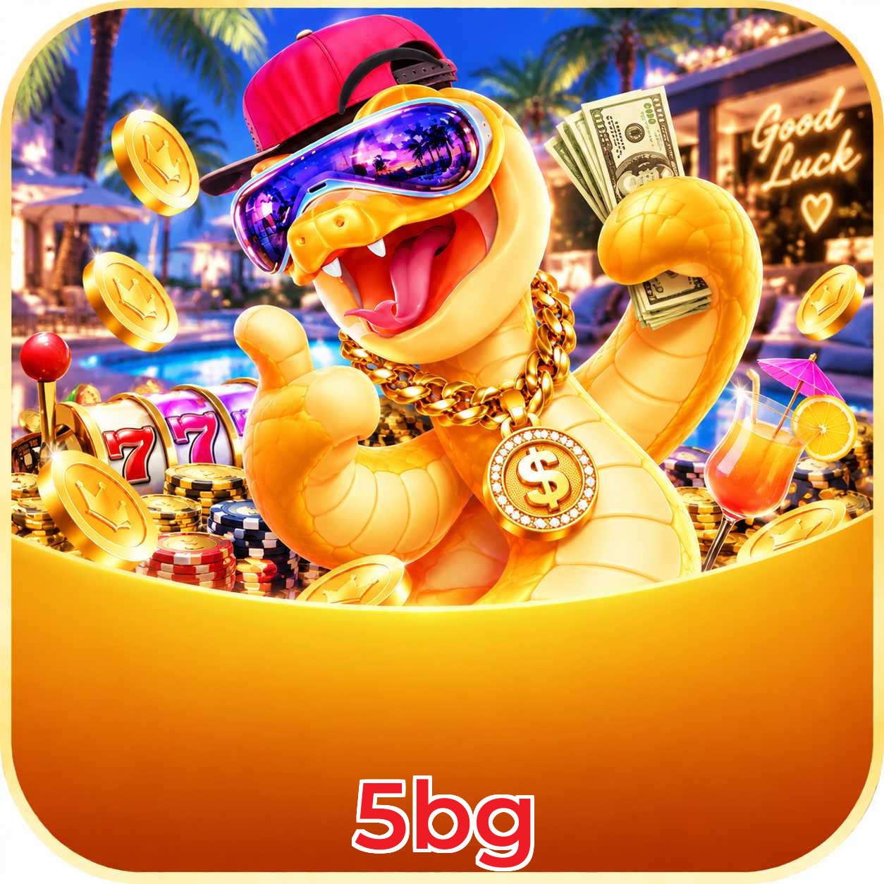Programa VIP 5bg com cashback e benefícios exclusivos
